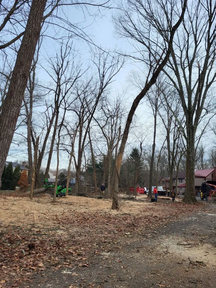 Affordable outdoor landscaping for homes in Philadelphia, PA by Trust Planet Tree Service & Landscaping