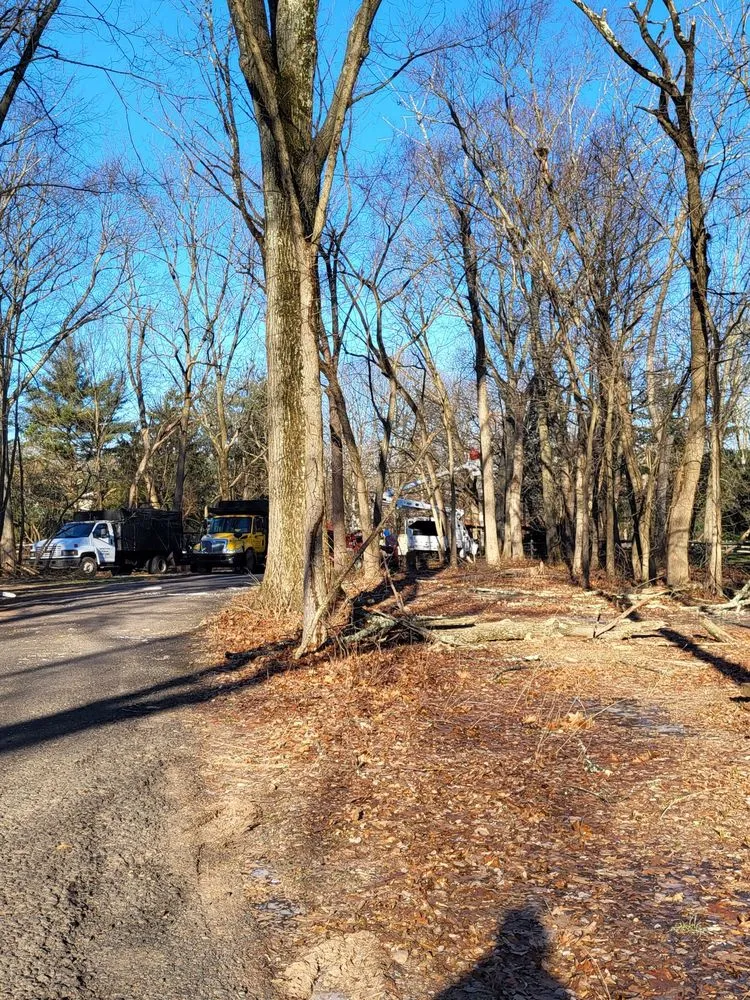 Affordable landscaping services in Philadelphia, PA by Trust Planet Tree Service & Landscaping