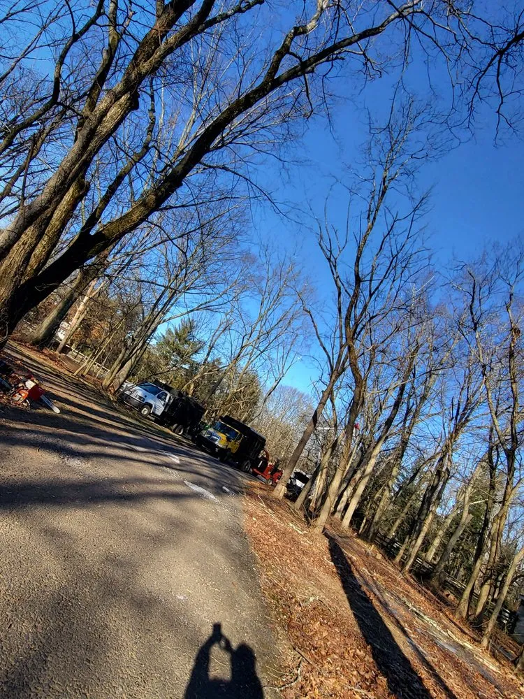 Expert lawn mowing service in Philadelphia, PA - Trust Planet Tree Service & Landscaping