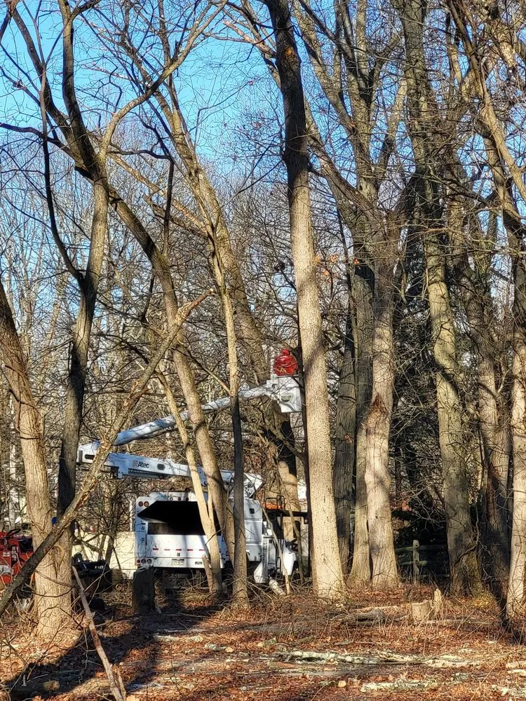 Top-rated garden landscaping for residential properties in Philadelphia, PA by Trust Planet Tree Service & Landscaping