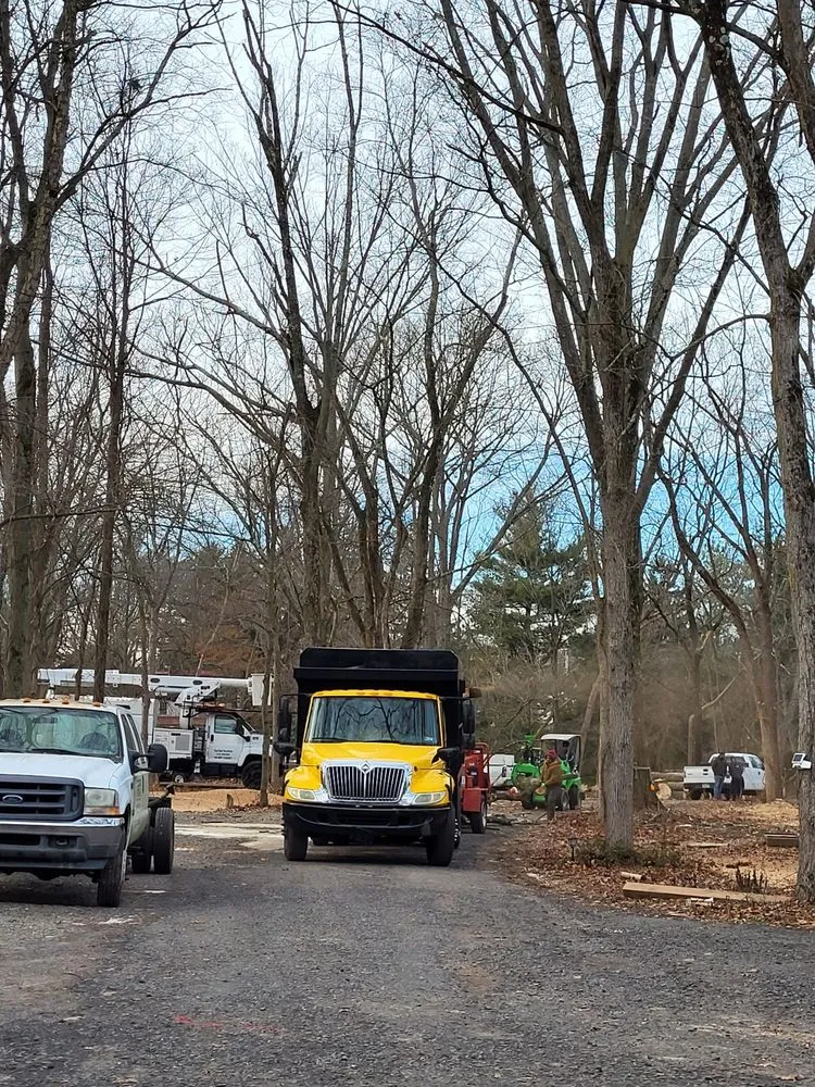 Professional landscape design in Philadelphia, PA - Trust Planet Tree Service & Landscaping