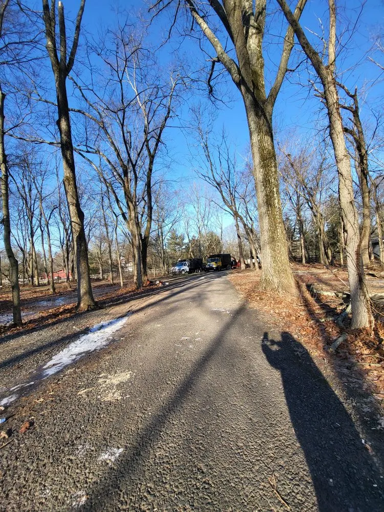 Expert yard maintenance in Philadelphia, PA by Trust Planet Tree Service & Landscaping