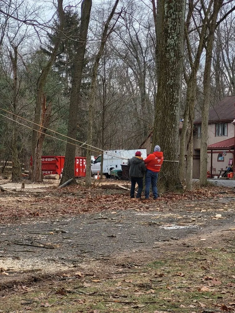 Expert garden landscaping for outdoor upgrades in Philadelphia, PA by Trust Planet Tree Service & Landscaping