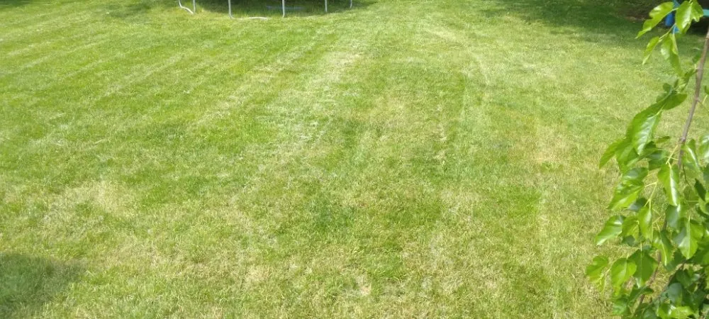 Reliable outdoor landscaping in Columbus, OH - Trust Pros