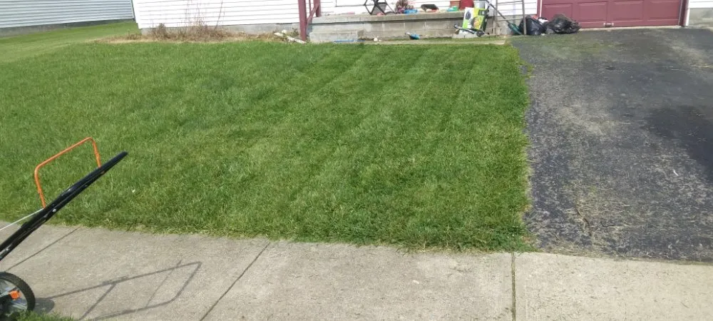 Professional yard maintenance for homes across Columbus, OH - Trust Pros