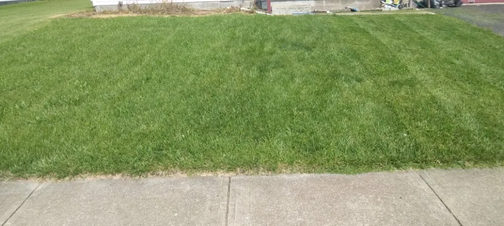 Custom yard maintenance in Columbus, OH by Trust Pros