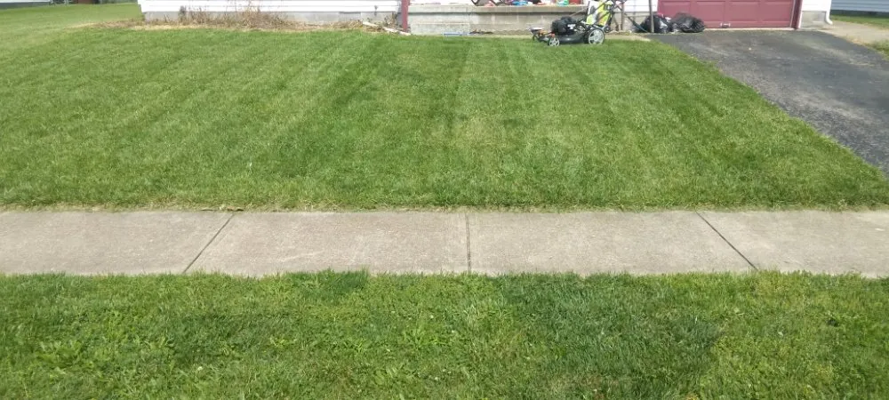 Trusted yard maintenance experts serving Columbus, OH - Trust Pros