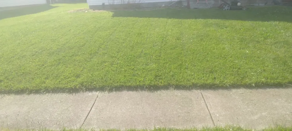 Top-rated lawn mowing service experts serving Columbus, OH - Trust Pros