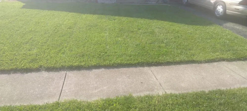 Reliable residential landscaping in Columbus, OH by Trust Pros