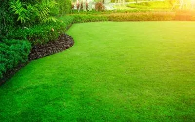 Local yard cleanup service experts serving Avon Park, FL - Trust The Beards Landscaping and Yard Care