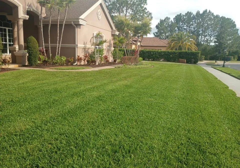 Trusted lawn care service with custom design across Avon Park, FL - Trust The Beards Landscaping and Yard Care
