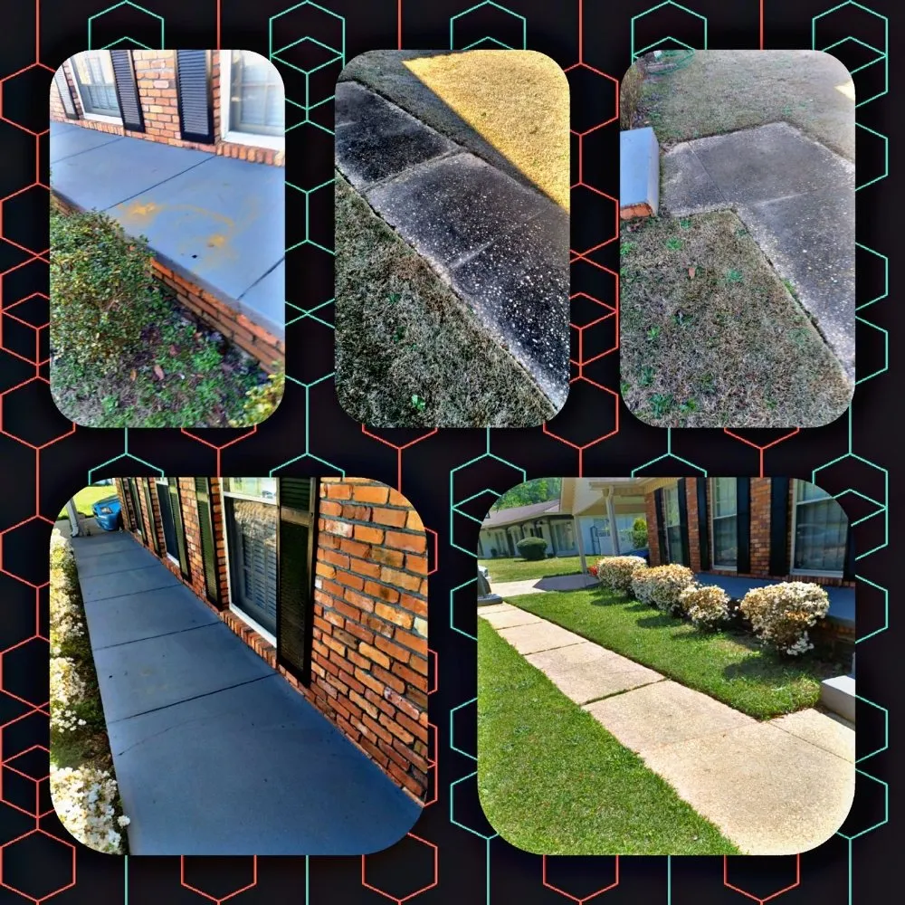Trusted landscaping services experts serving Tuscaloosa, AL - Trust The Process Pressure Washing