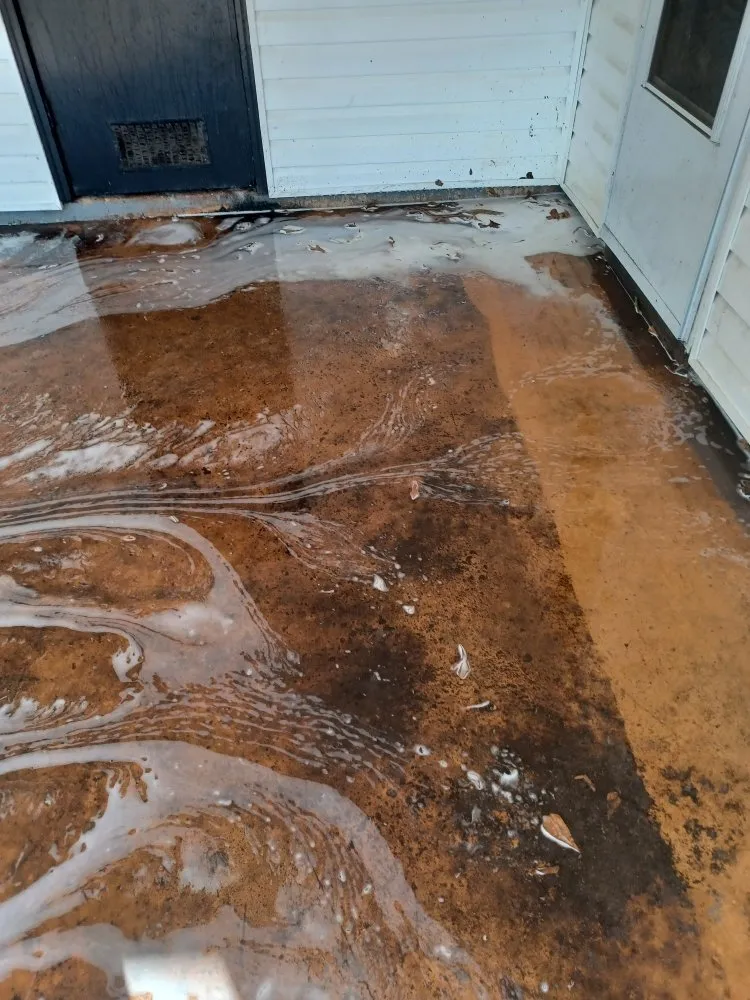 Local landscape design for outdoor upgrades across Tuscaloosa, AL - Trust The Process Pressure Washing