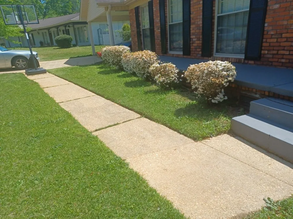 Local outdoor landscaping in Tuscaloosa, AL - Trust The Process Pressure Washing