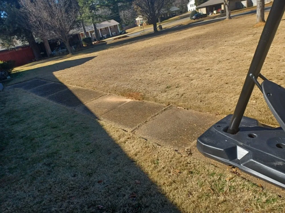 Top-rated yard cleanup service for year-round maintenance across Tuscaloosa, AL - Trust The Process Pressure Washing