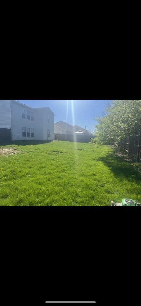 Local landscape installation for residential properties across Indianapolis, IN - Trusted Doorstep