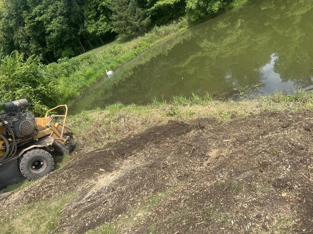 Affordable garden landscaping for year-round maintenance in Indianapolis, IN by Trusted Doorstep