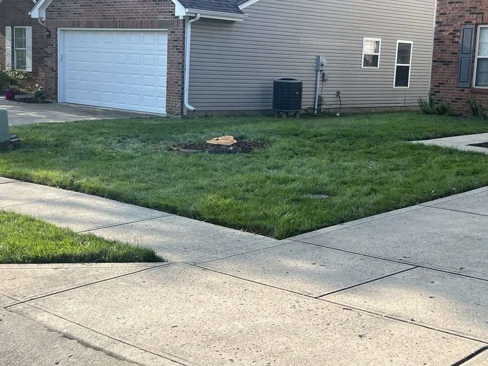 Reliable landscaping services in Indianapolis, IN - Trusted Doorstep