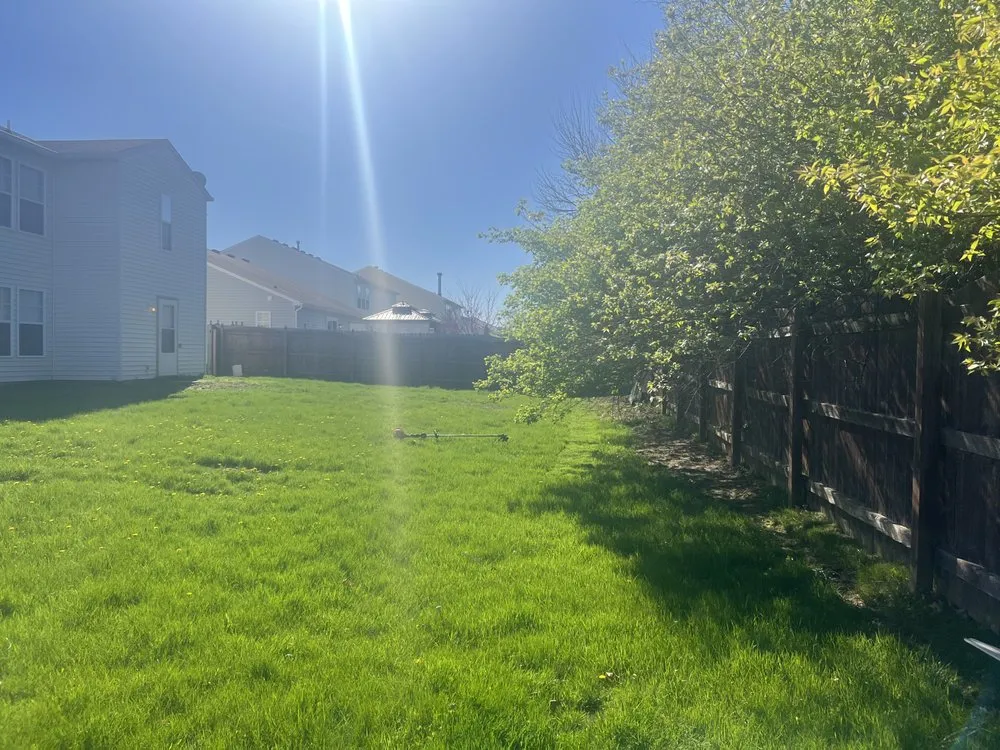 Affordable yard cleanup service for beautiful yards across Indianapolis, IN - Trusted Doorstep