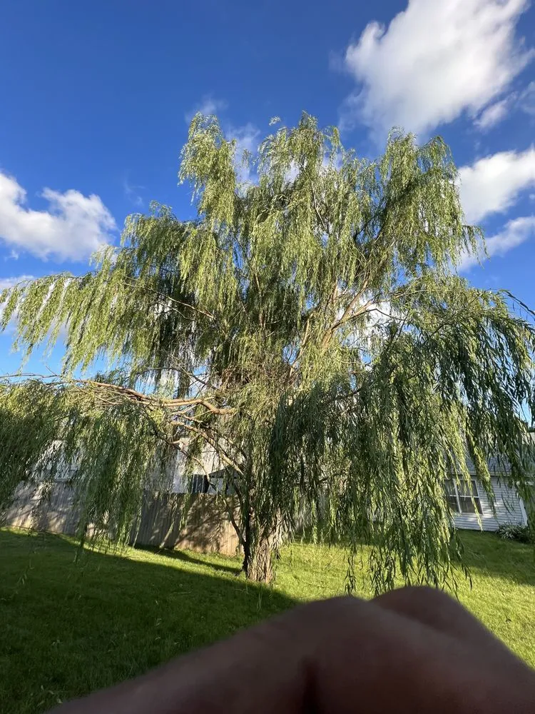 Top-rated residential landscaping in Indianapolis, IN - Trusted Doorstep