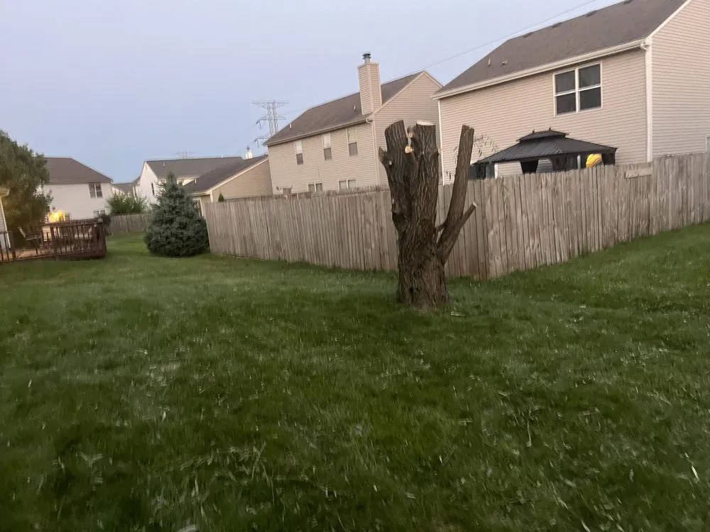 Affordable garden landscaping in Indianapolis, IN - Trusted Doorstep