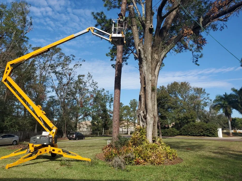 Affordable outdoor landscaping experts serving Dade City, FL - Trusted Landscape Solutions