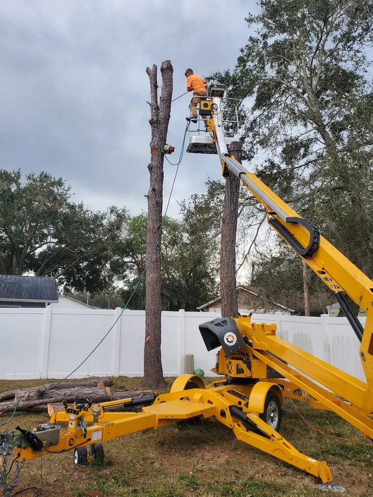 Affordable garden landscaping in Dade City, FL - Trusted Landscape Solutions