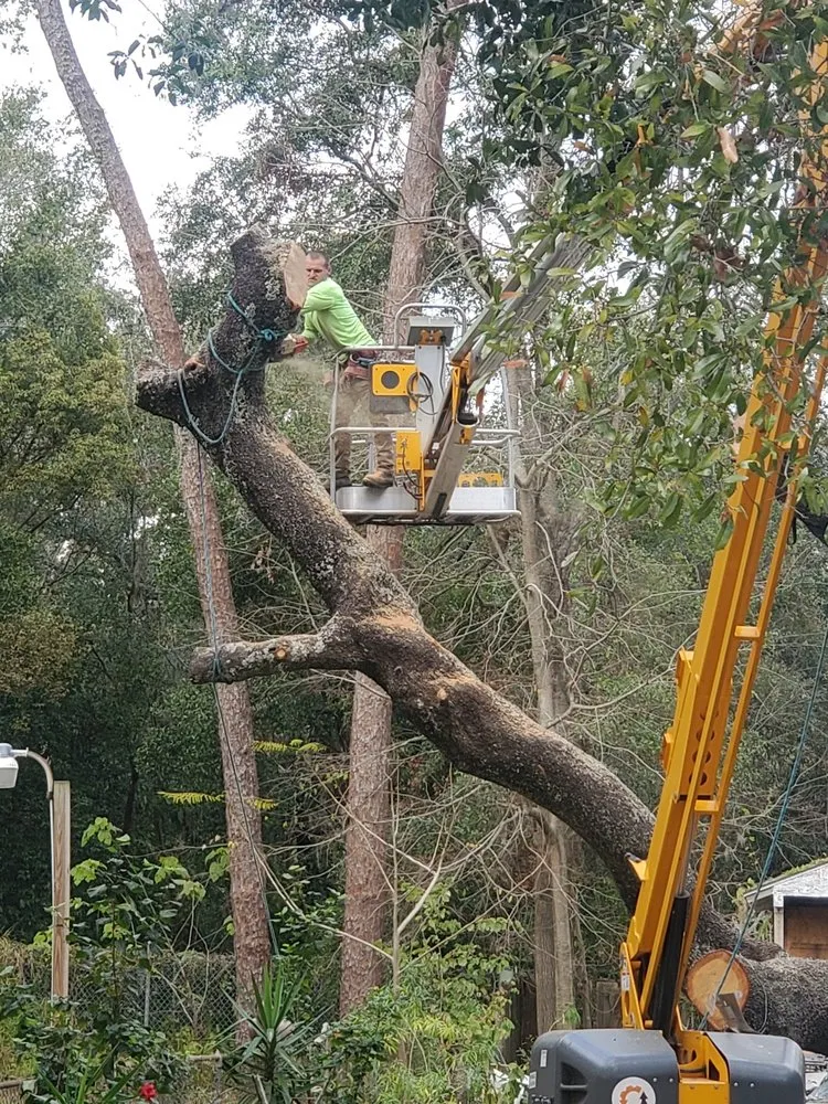 Expert yard cleanup service experts serving Dade City, FL - Trusted Landscape Solutions