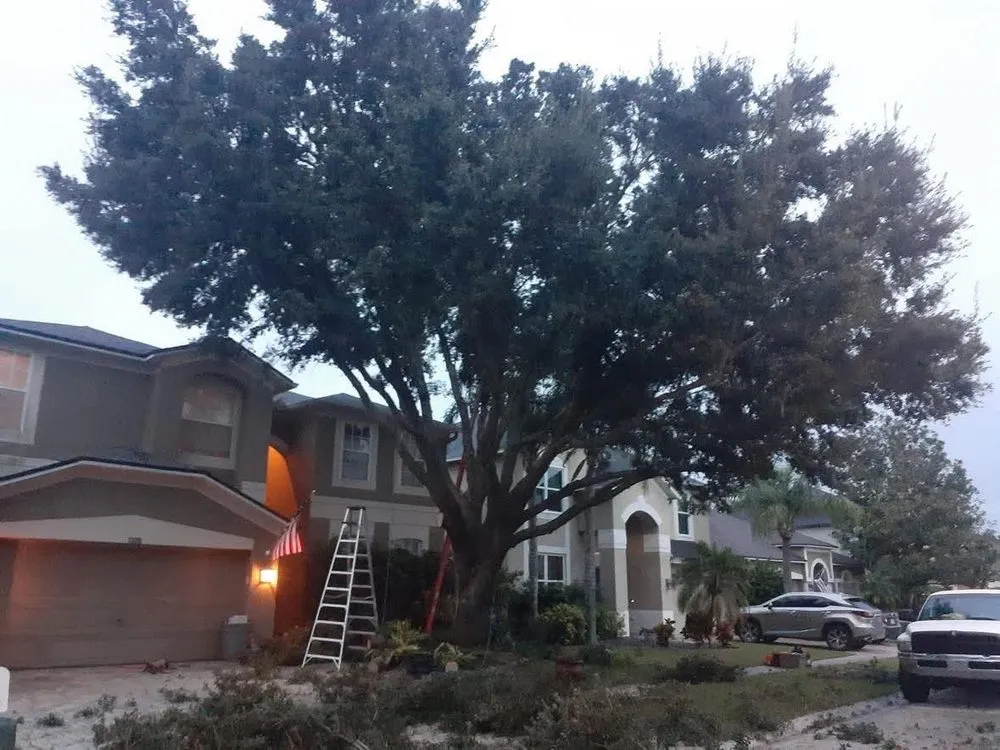 Local residential landscaping in Dade City, FL - Trusted Landscape Solutions