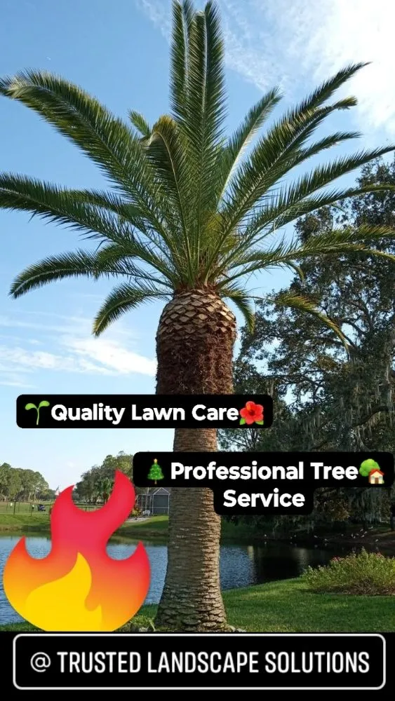 Affordable landscape design for beautiful yards in Dade City, FL by Trusted Landscape Solutions