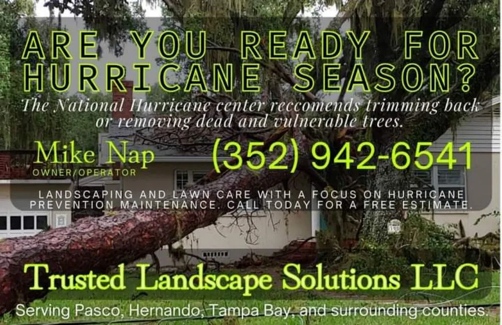 Affordable lawn mowing service experts serving Dade City, FL - Trusted Landscape Solutions