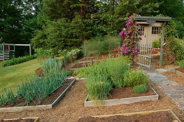 Expert garden landscaping in Manassas, VA - Trusted Landscaping & Painting