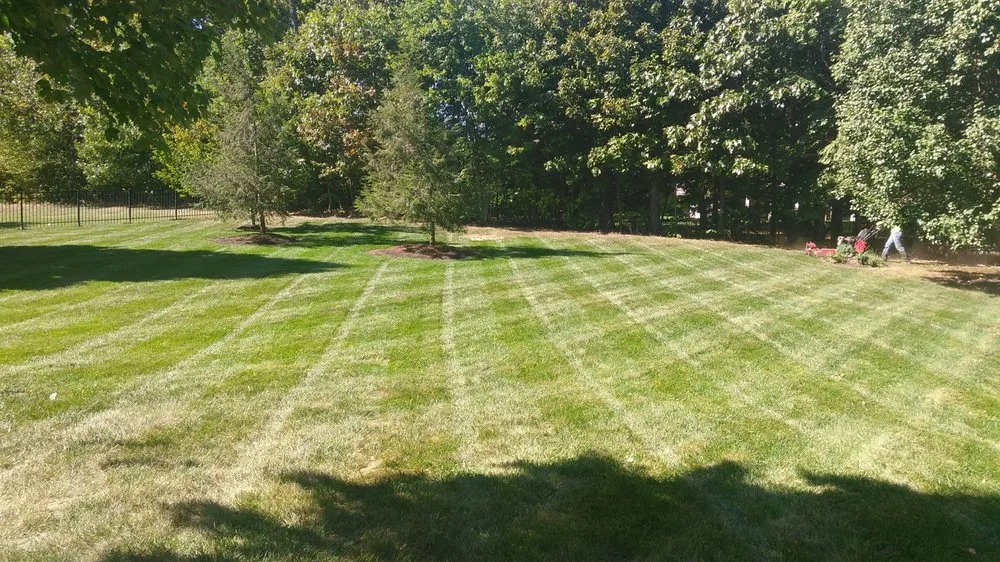 Expert landscape design experts serving Manassas, VA - Trusted Landscaping & Painting