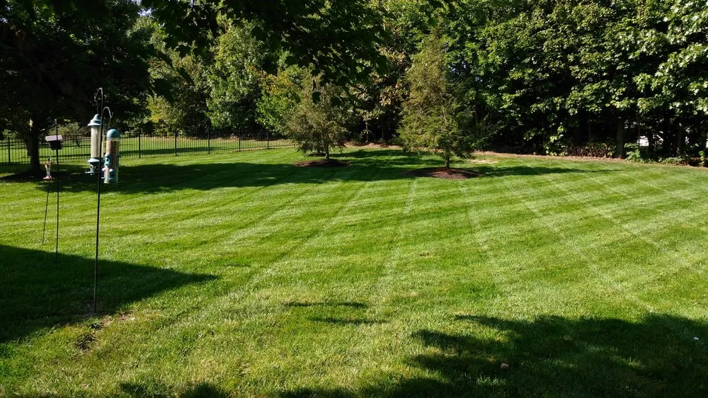 Reliable landscaping services in Manassas, VA - Trusted Landscaping & Painting
