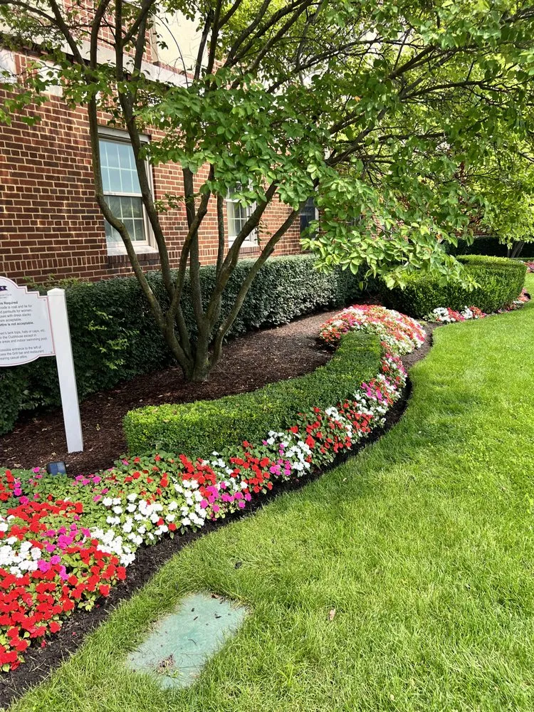 Local lawn mowing service in Detroit, MI by Trusted Landscaping