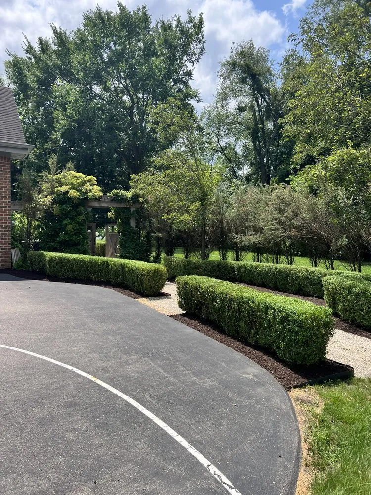 Local yard cleanup service in Detroit, MI - Trusted Landscaping