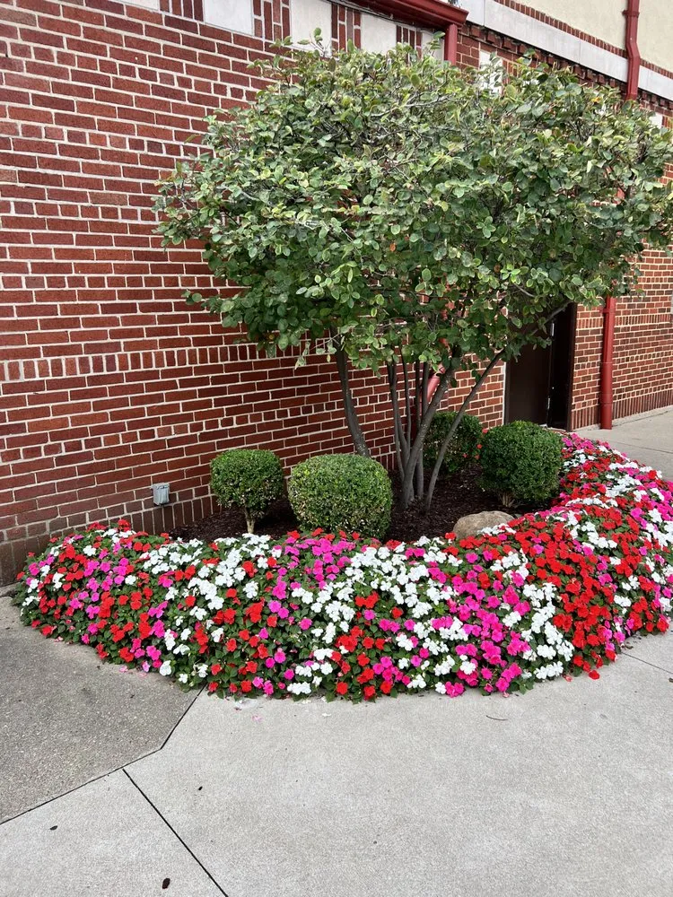 Reliable landscaping services in Detroit, MI by Trusted Landscaping