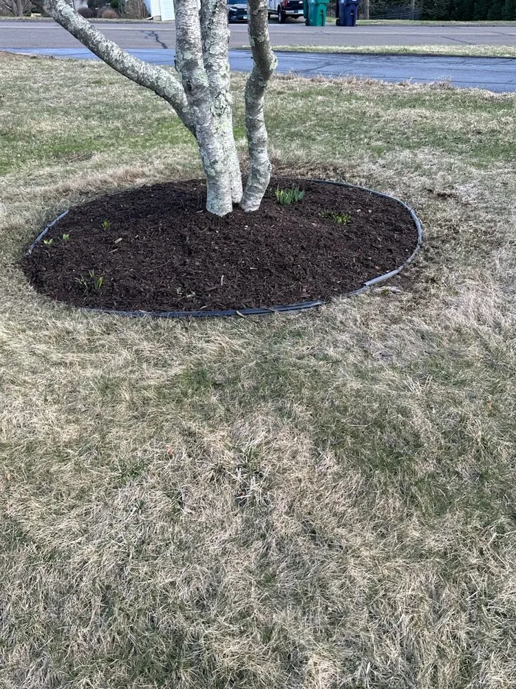 Affordable outdoor landscaping experts serving Waterbury, CT - Trusted Landscaping