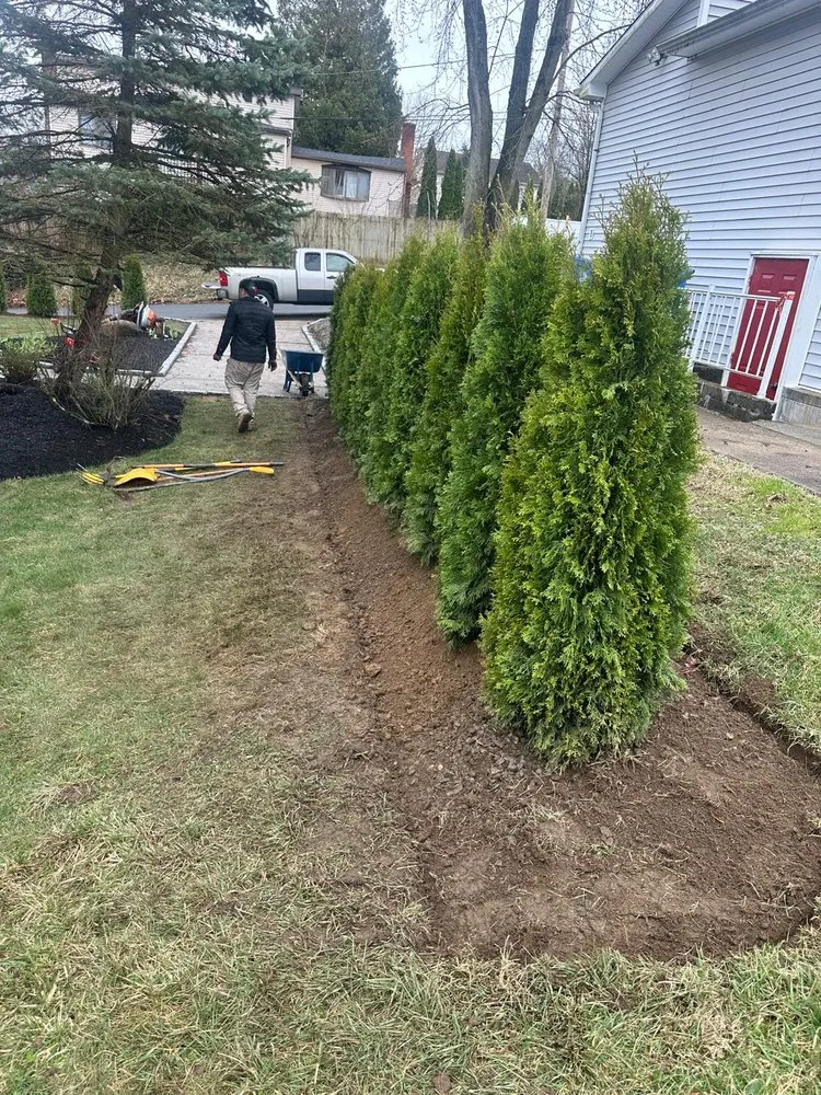 Top-rated yard maintenance in Waterbury, CT by Trusted Landscaping