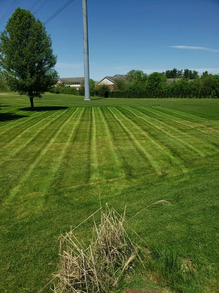Professional yard maintenance in Fort Wayne, IN - Trusted Lawn Care