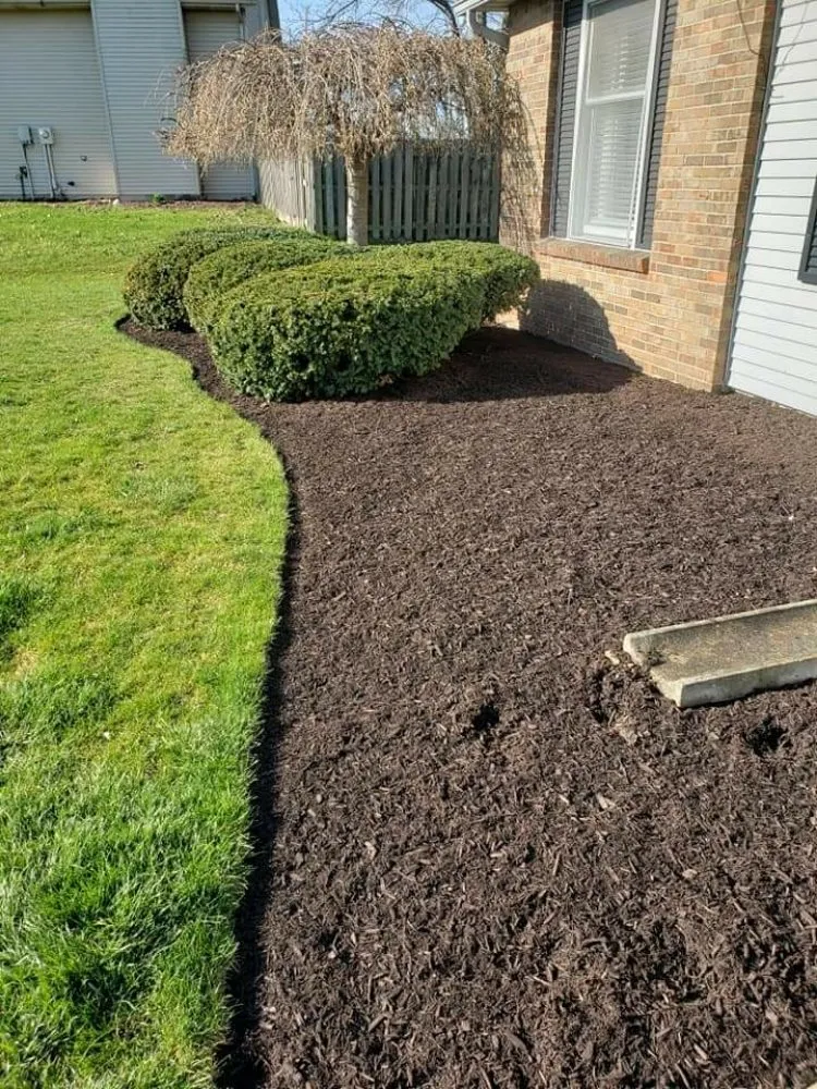 Affordable yard cleanup service experts serving Fort Wayne, IN - Trusted Lawn Care