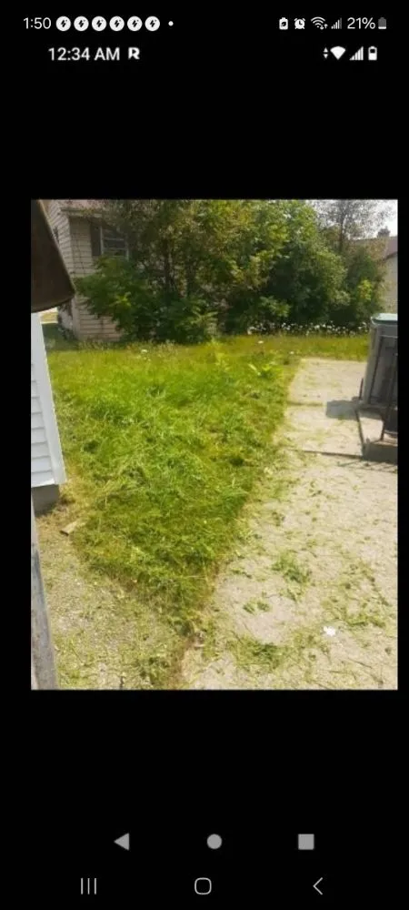 Professional landscape design in Milwaukee, WI - Trusted Lawn Service