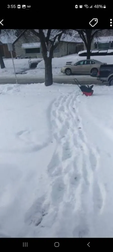 Top-rated outdoor landscaping experts serving Milwaukee, WI - Trusted Lawn Service