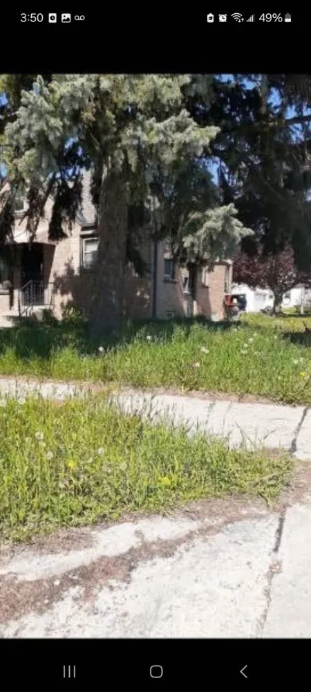 Expert yard cleanup service for year-round maintenance across Milwaukee, WI - Trusted Lawn Service