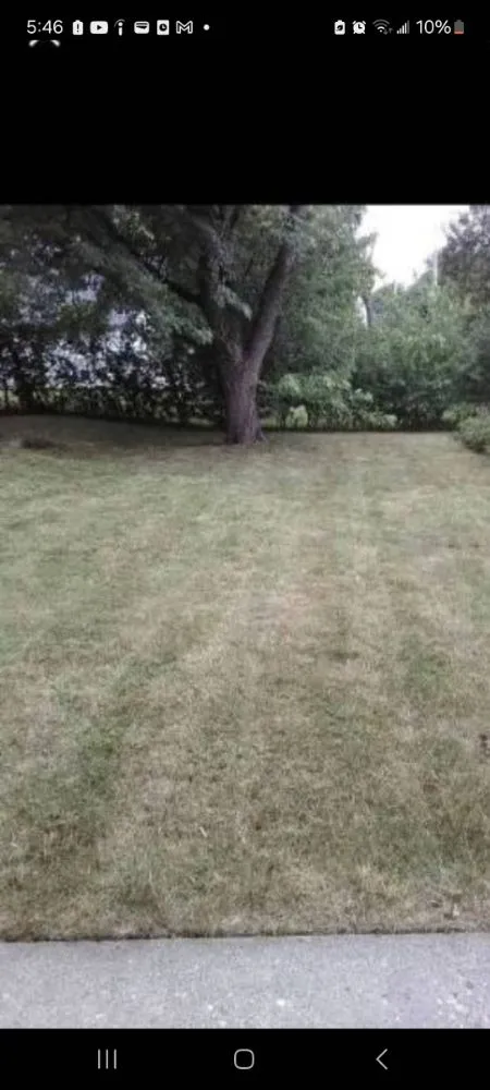 Custom residential landscaping in Milwaukee, WI by Trusted Lawn Service