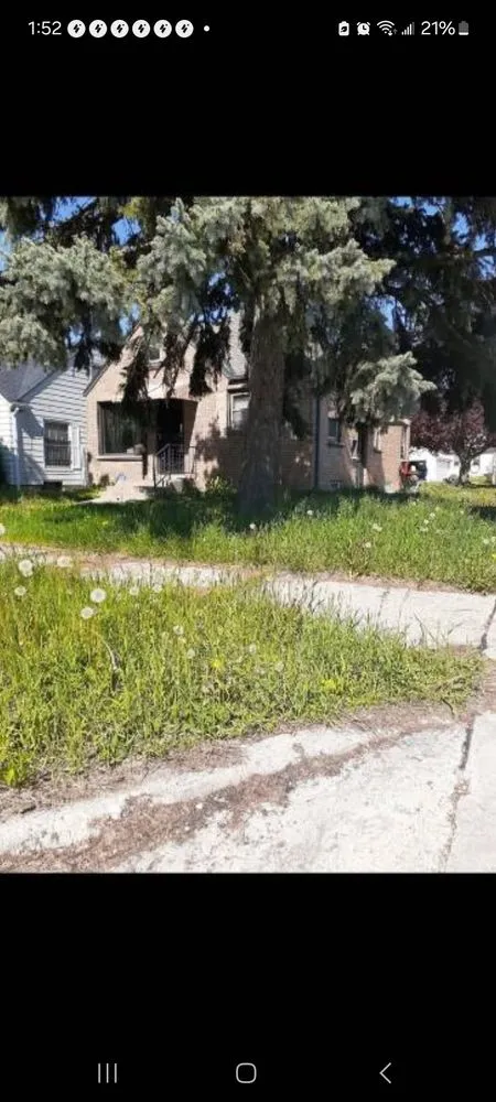 Expert lawn mowing service in Milwaukee, WI by Trusted Lawn Service