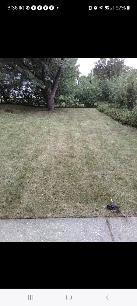 Affordable landscape design in Milwaukee, WI by Trusted Lawn Service