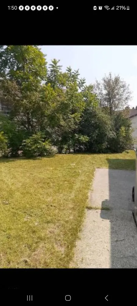 Custom lawn care service for residential properties in Milwaukee, WI by Trusted Lawn Service