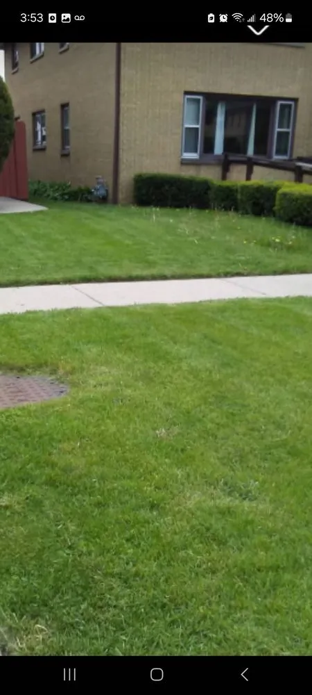 Local landscape installation near you in Milwaukee, WI by Trusted Lawn Service