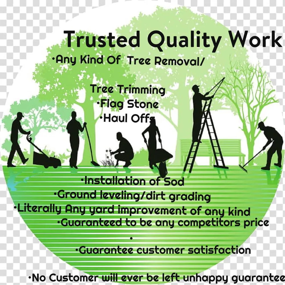 Expert yard cleanup service for homes in Tom Bean, TX by Trusted Quality Work
